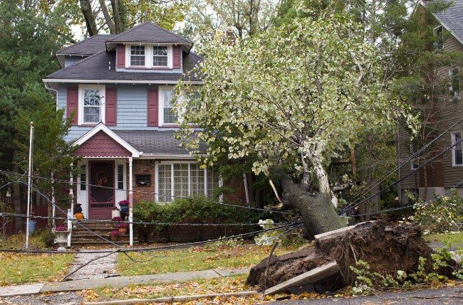 Tree_Falls_on_House